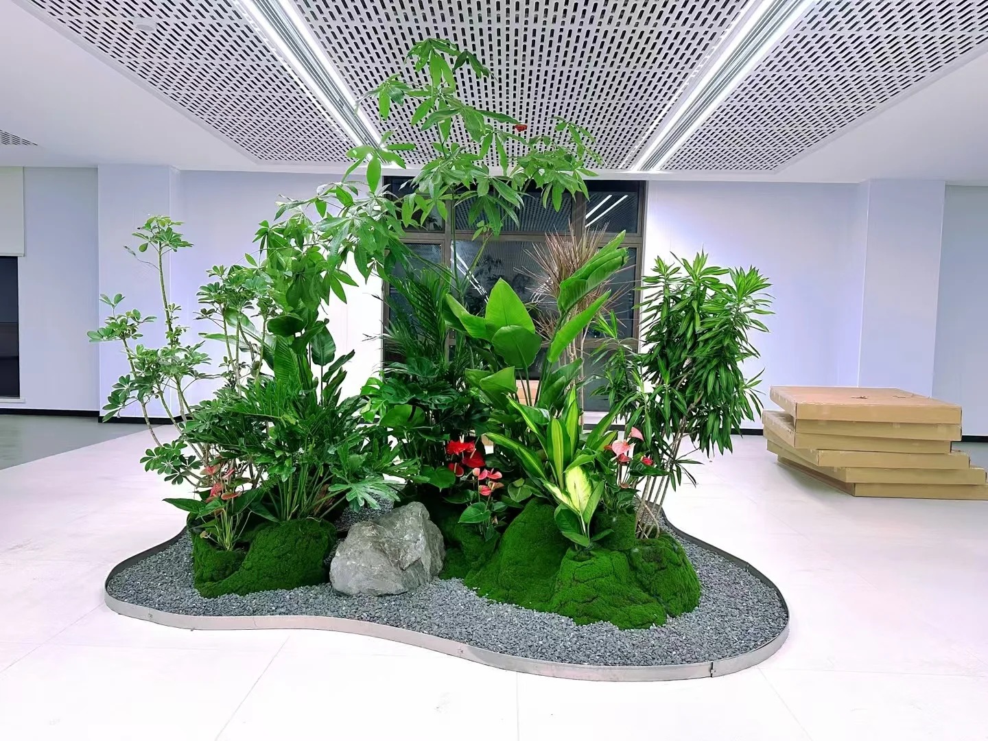 专业鄞州花卉出租设计，点亮您的空间之美！